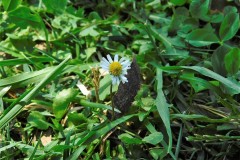 DSCN1701