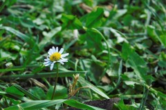 DSCN1708